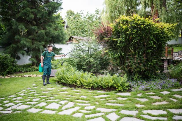 Best Residential Pest Control  in Clearfield, PA