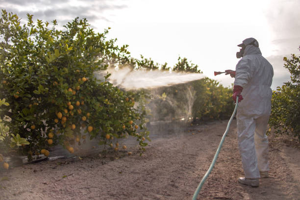 Trusted Clearfield, PA Pest Control Experts