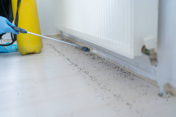 Best Commercial Pest Control Services  in Clearfield, PA